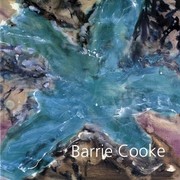 Barrie Cooke.