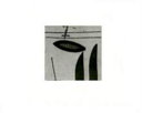 Clough, Prunella, 1919-1999. Prunella Clough :